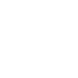 Rig