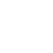 Vault AI